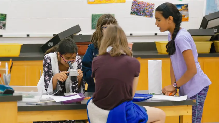 Students engaging in a science activity