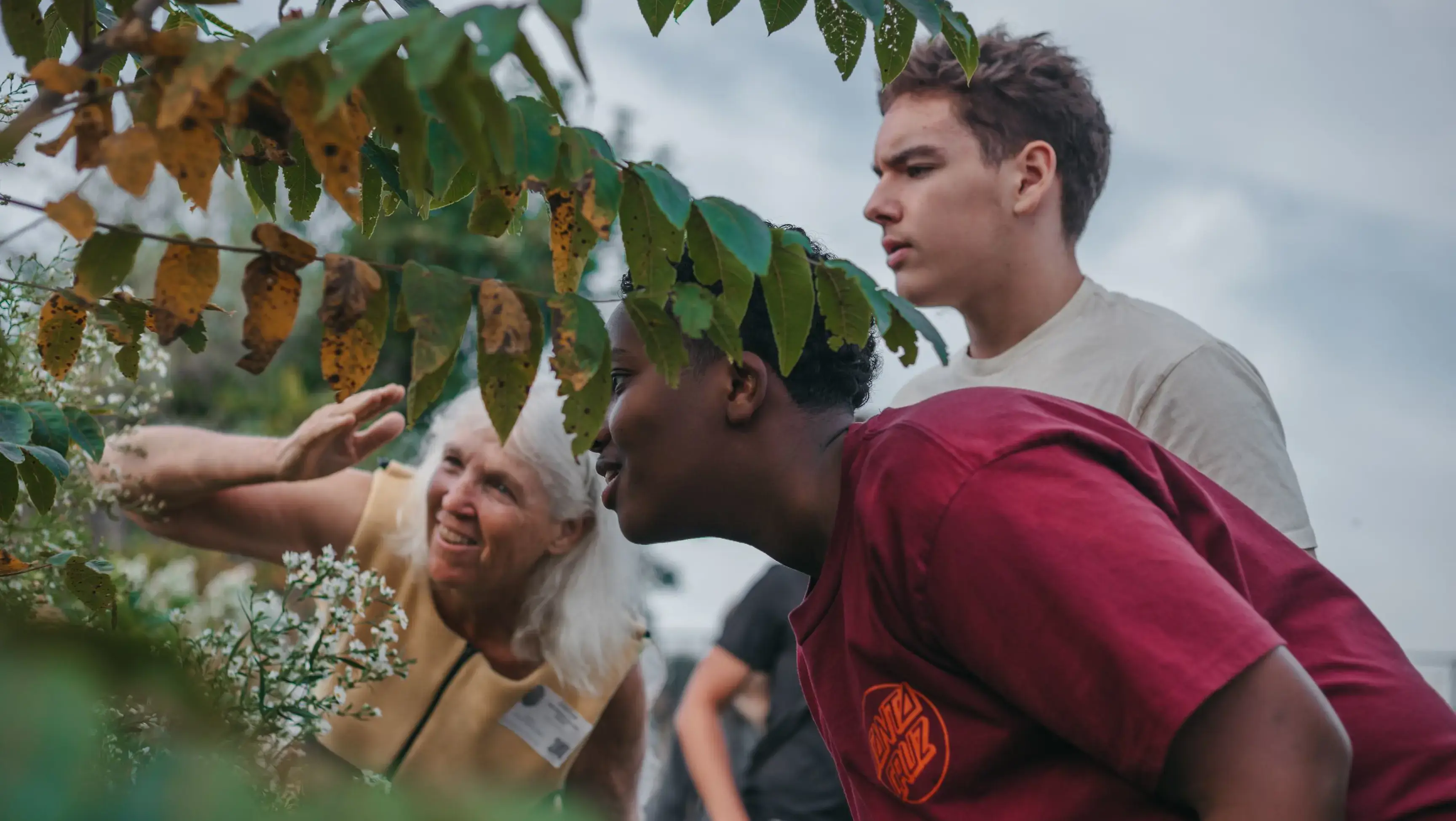 students and teacher having a lesson outdoors