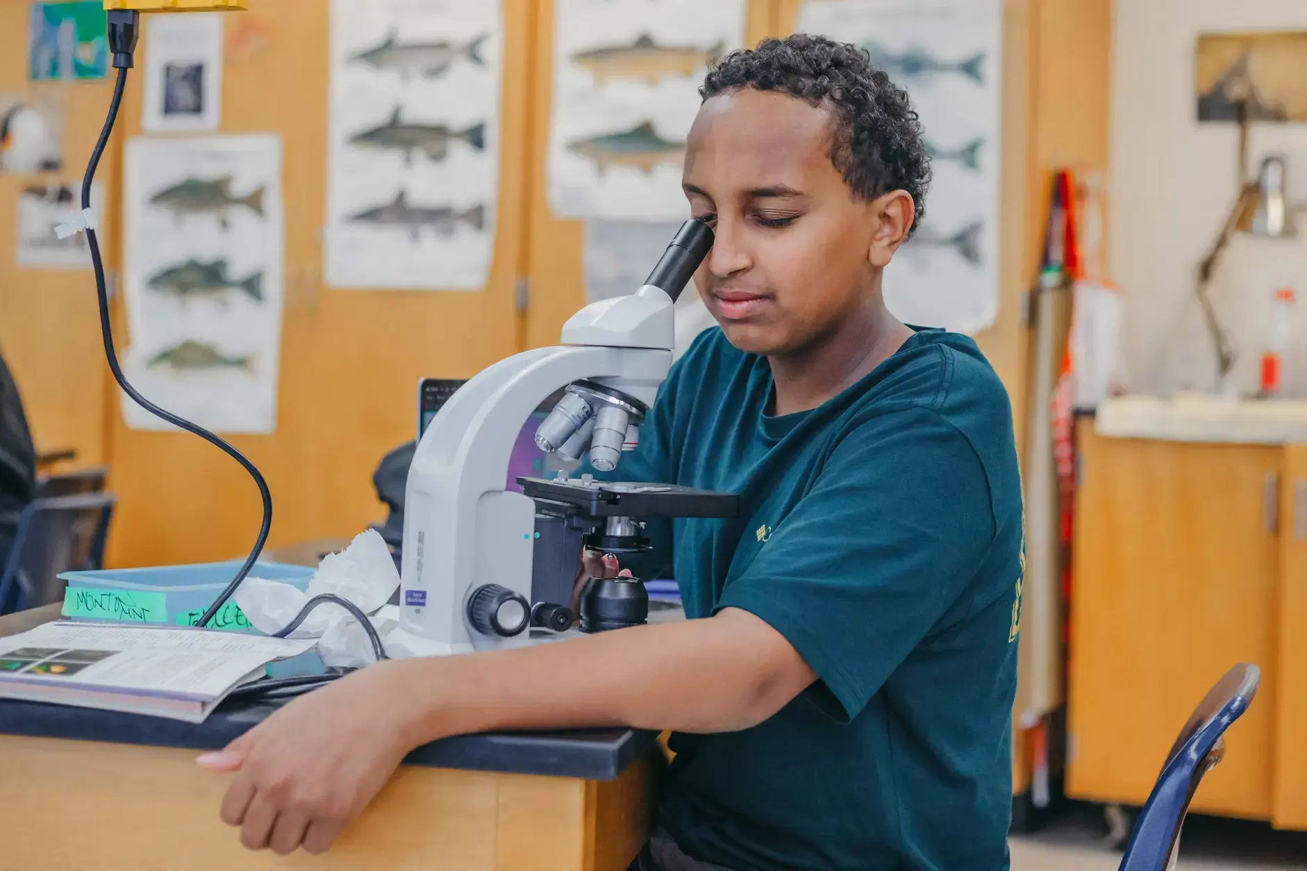 Student looking through a microscope