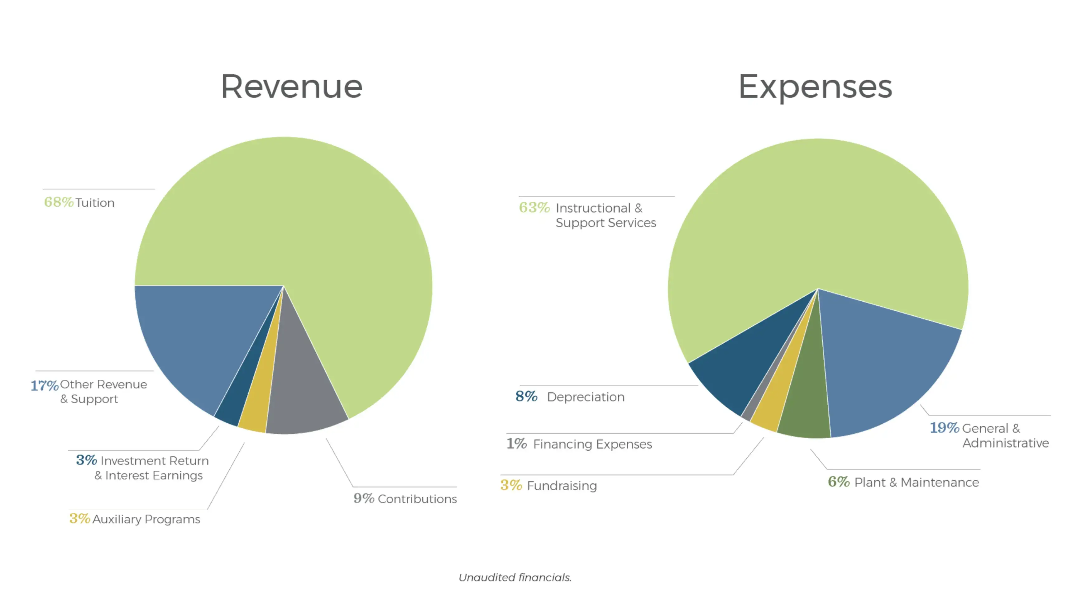 Revenue and expenses graphic
