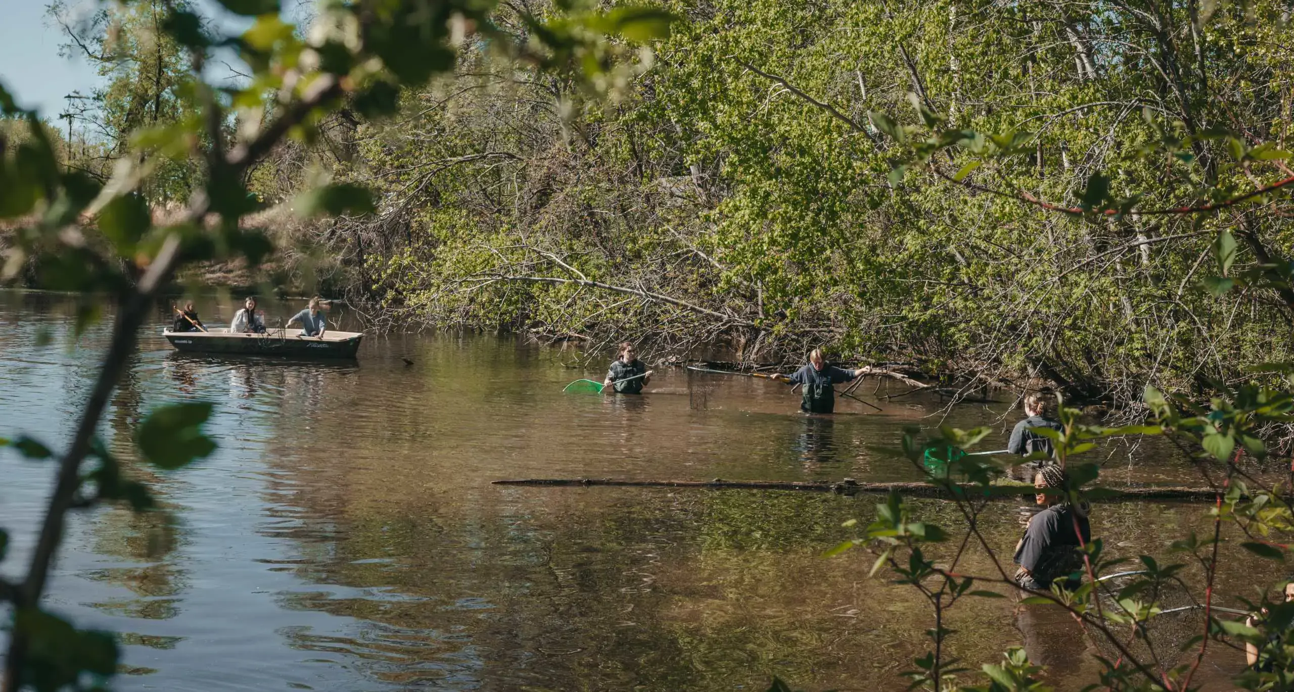 Students conducting field research in a local stream.