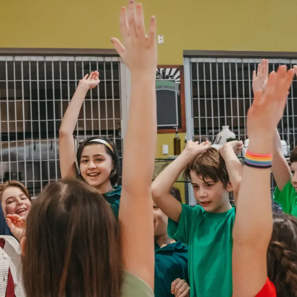 students raising their hands