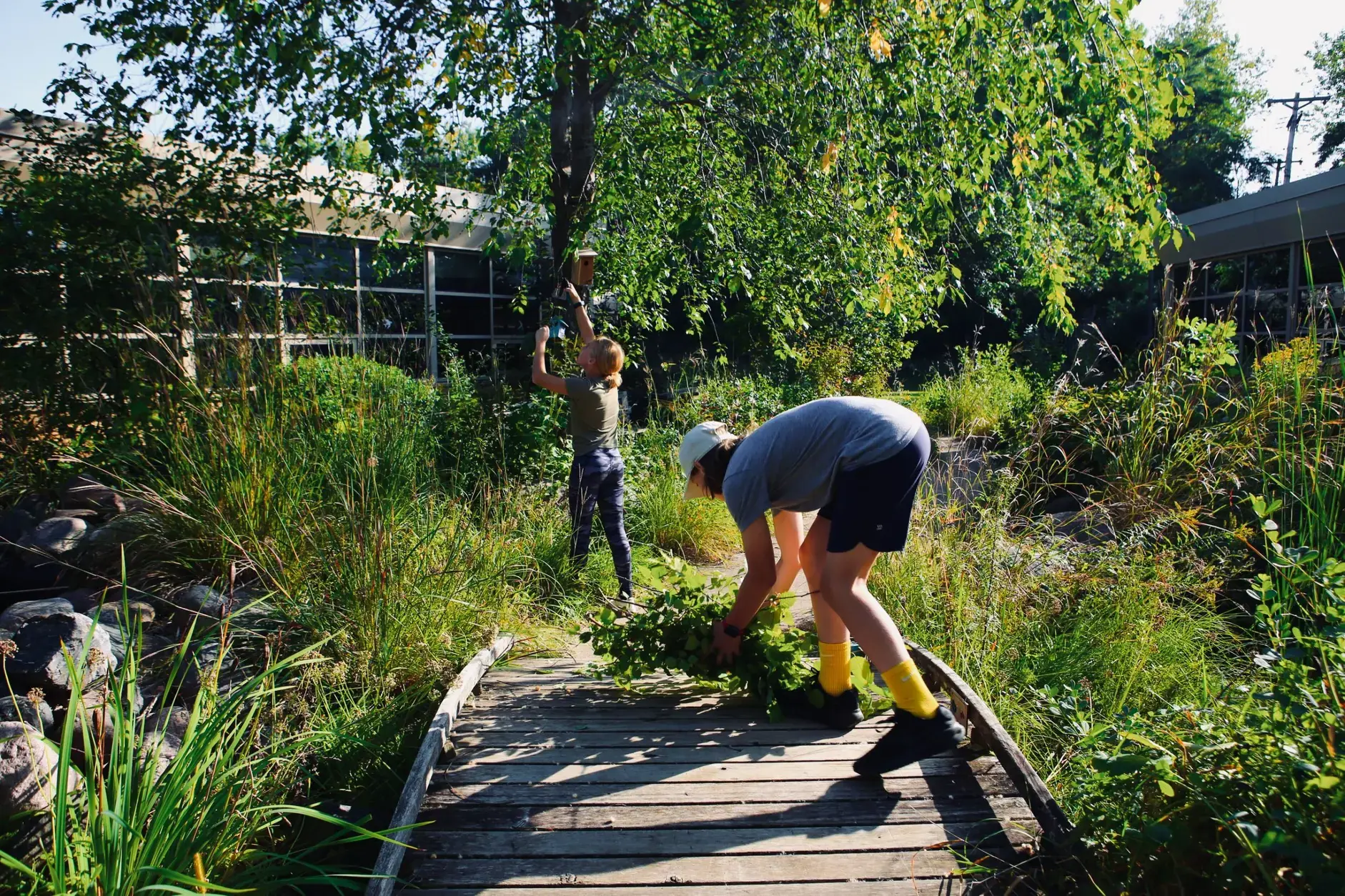 Students working together in the school garden