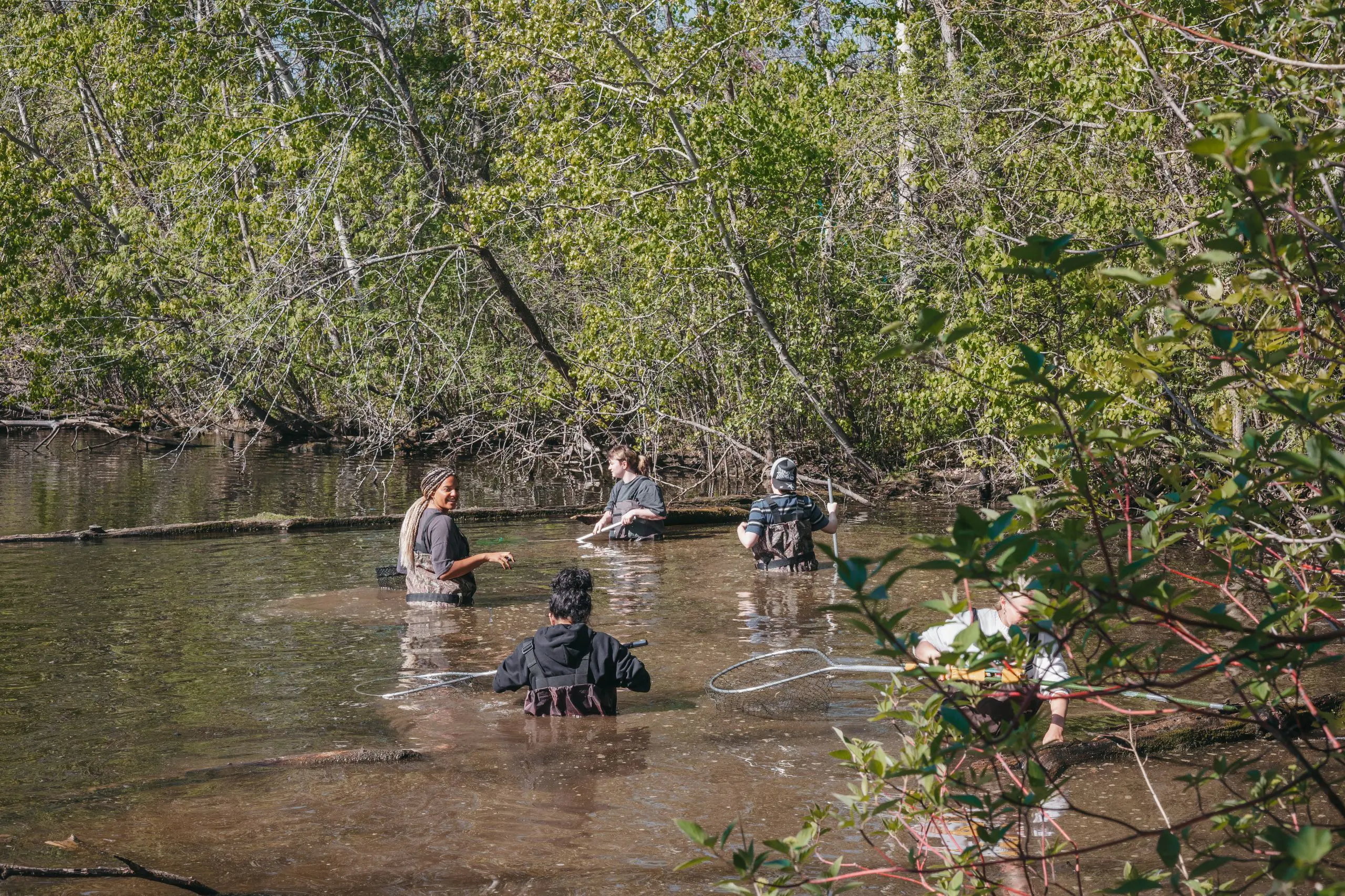 Students conducting field research in a local stream