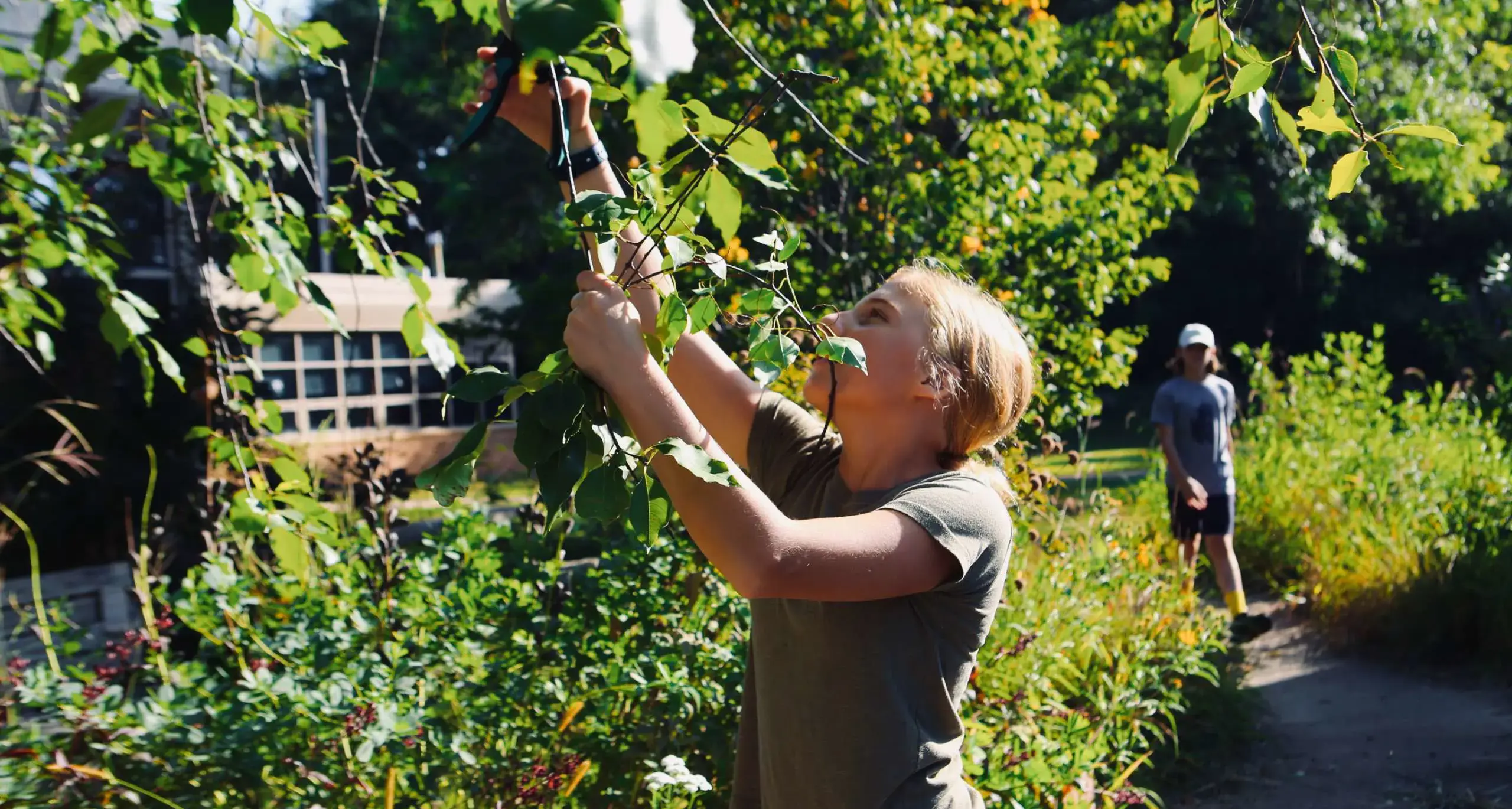 Student pruning plants in the school garden.