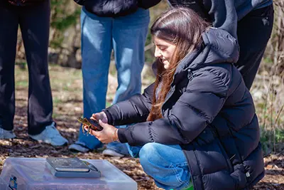 Upper School student weighing turtle