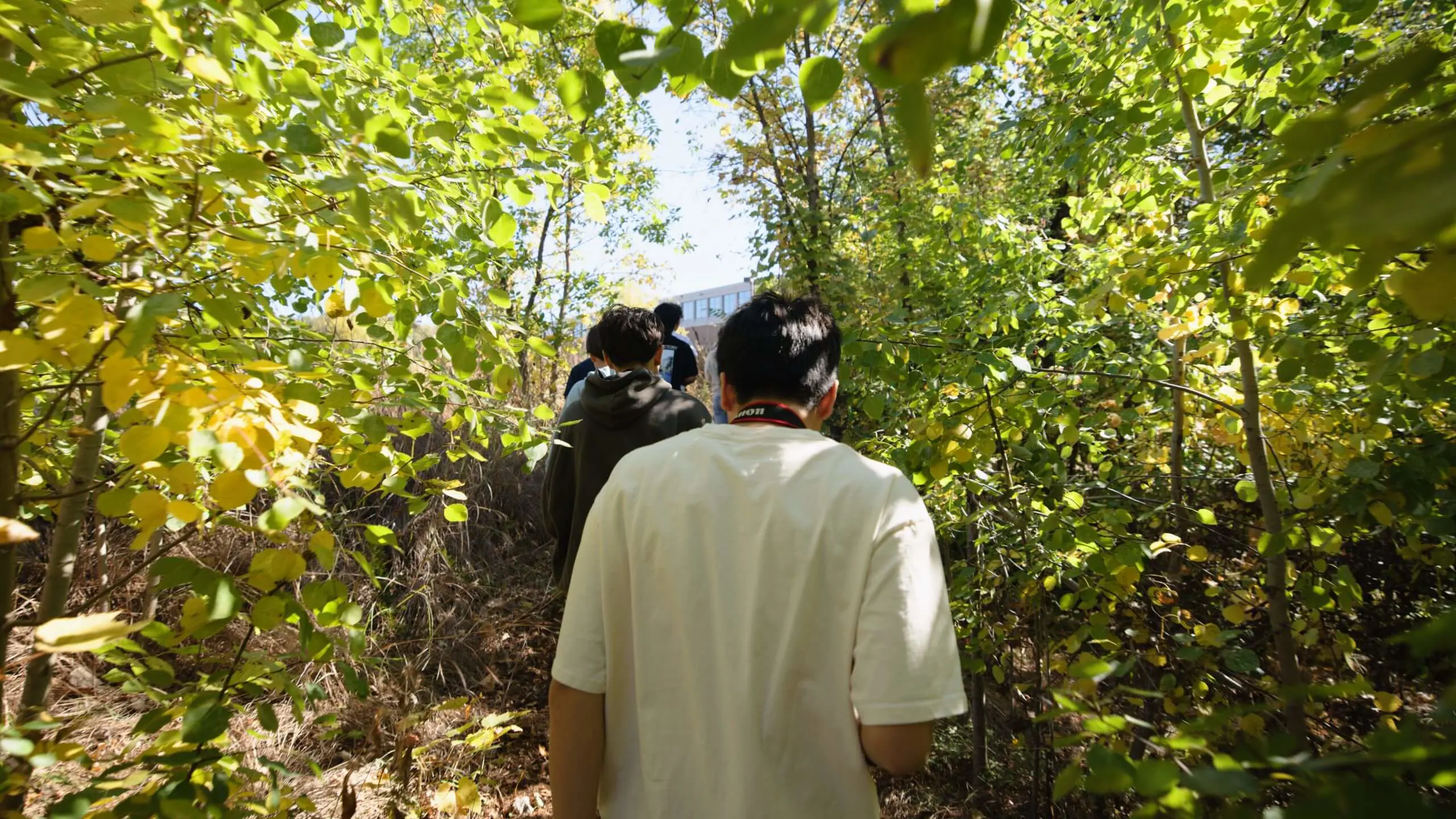 Students walking outdoors